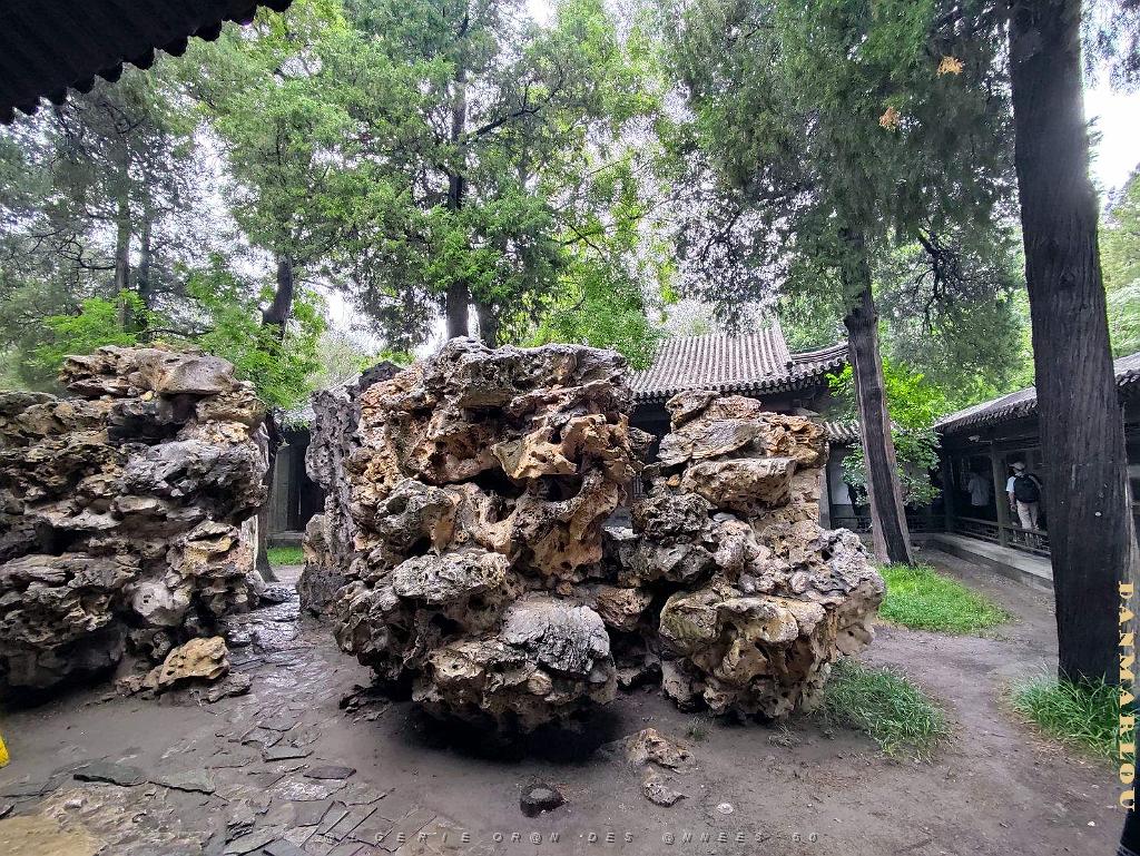 PEKIN - PARC BEIHAI (22).jpg
